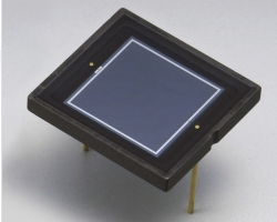(image for) S1227-1010BQSi photodiode